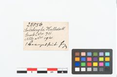 Etikett zu Bronzephalere (NHMW-PRAE-025856)